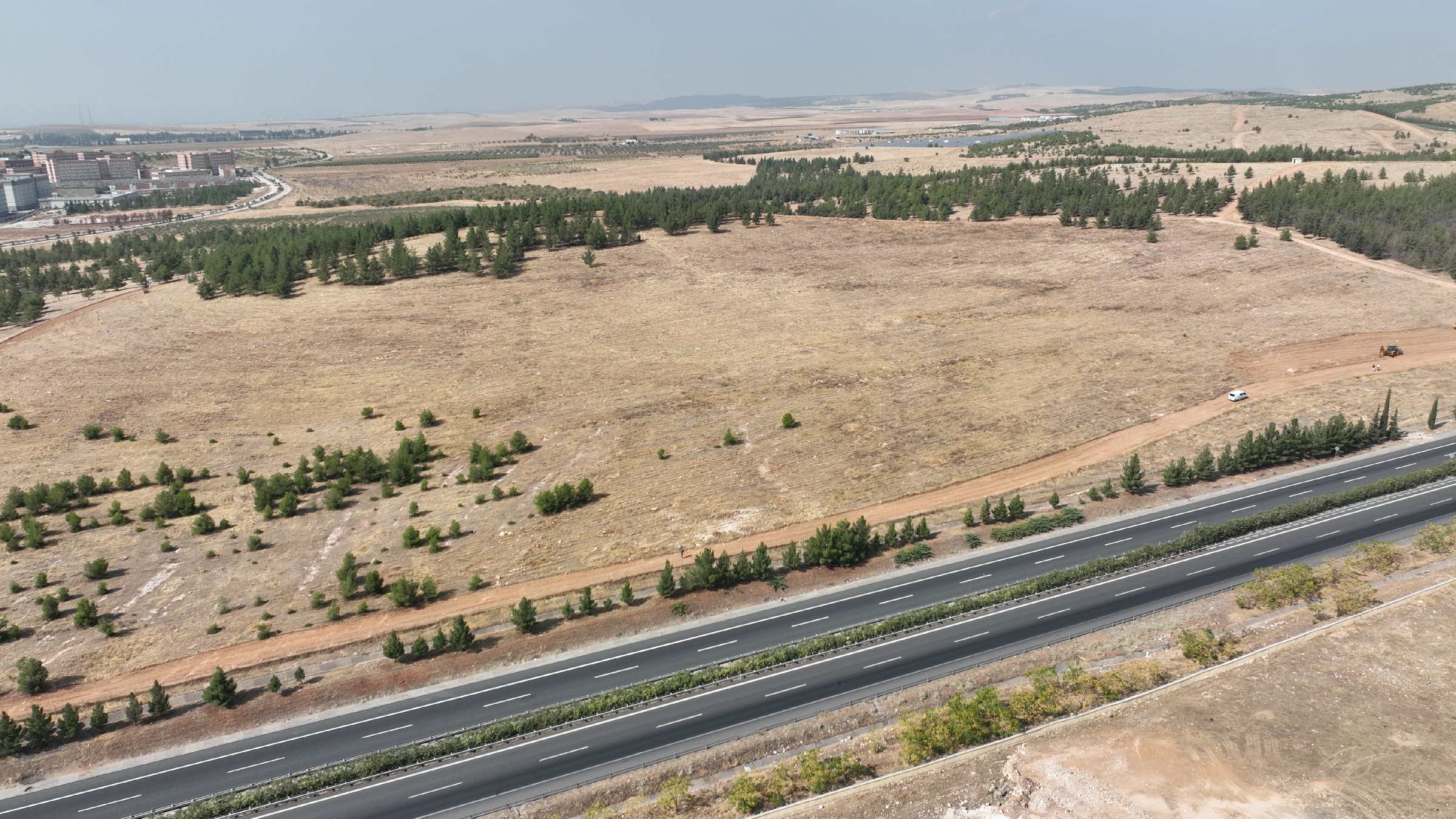 Şanlıurfa’ya 100 dönümlük hatıra ormanı geliyor! Binlerce ağaç dikilecek…