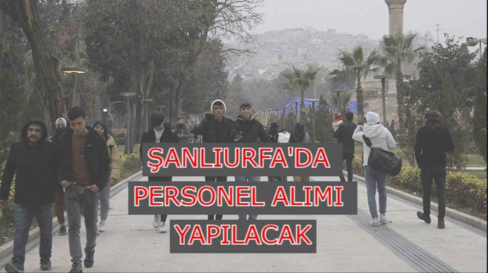 Şanlıurfa’da 5 bin personel alınacak! İlçe ilçe kontenjan dağılımı belli oldu