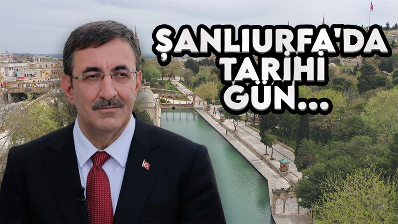 Şanlıurfa’da barış programı belli oldu! Cumhurbaşkanı Yardımcısı Yılmaz geliyor