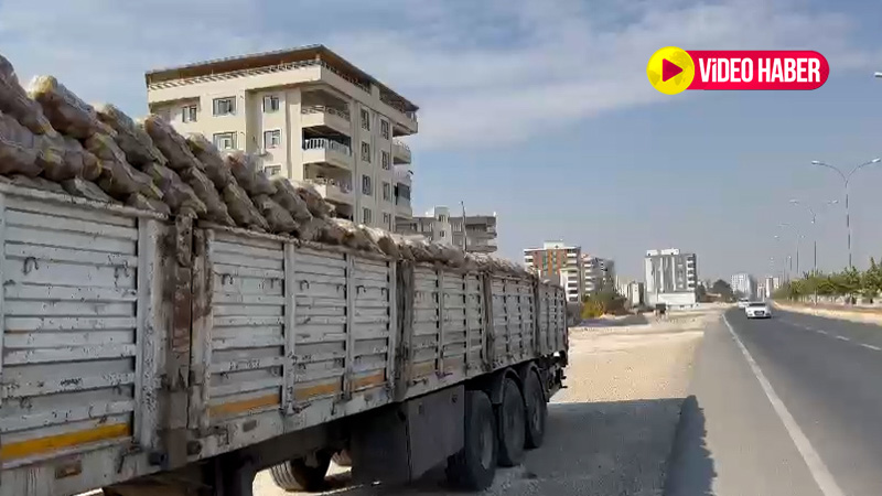 Şanlıurfa patatese doyacak! Bedavadan biraz pahalı