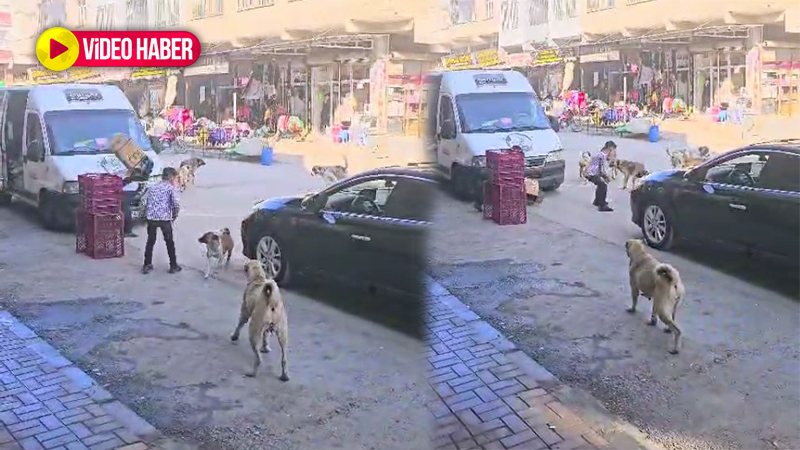 Şanlıurfa sokaklarında çocukları bekleyen büyük tehlike