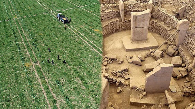 Sadece Şanlıurfa’da yetiştiriliyor! Tarihi Göbeklitepe kadar eski