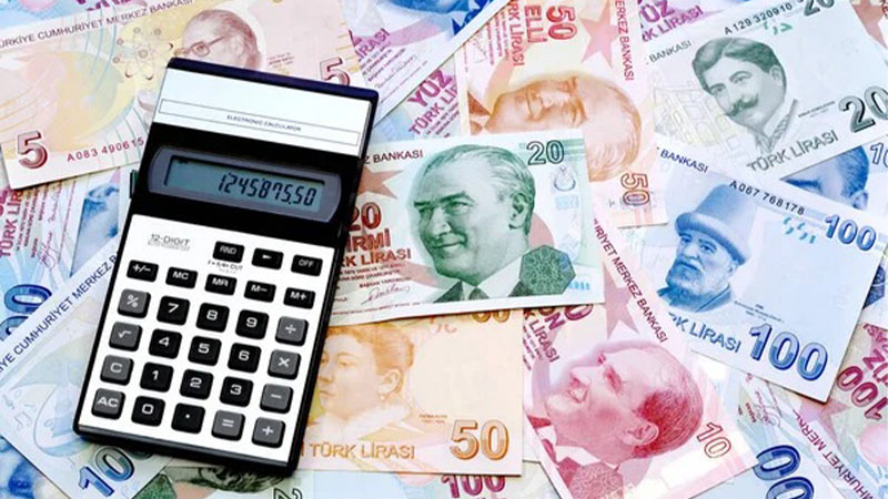 Bakan Göktaş duyurdu: Binlerce ailenin hesabına milyarlarca lira yattı