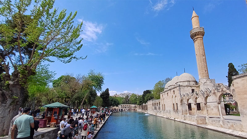 Şanlıurfa'da örnek olan proje Türkiye gündeminde