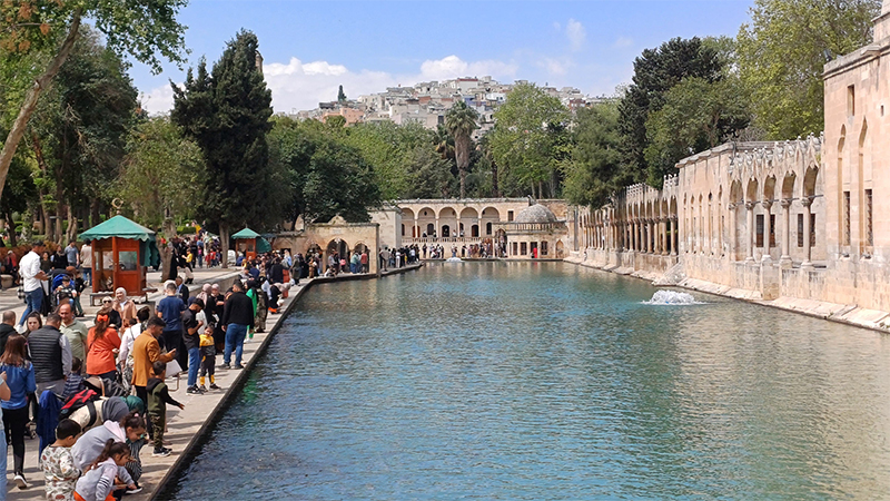 Şanlıurfa'da YKS'de başarılı olan öğrenciye ödül