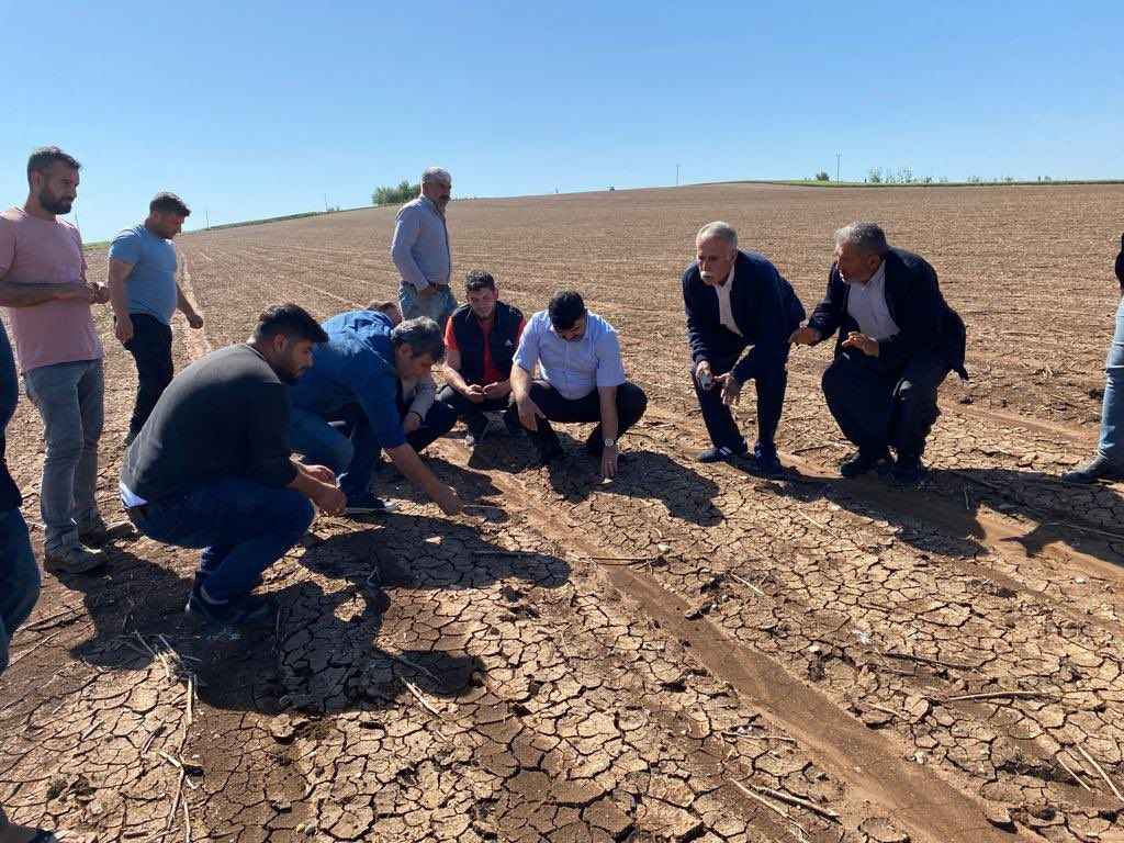 Şanlıurfa’daki çiftçilere flaş uyarı! Zaman daralıyor