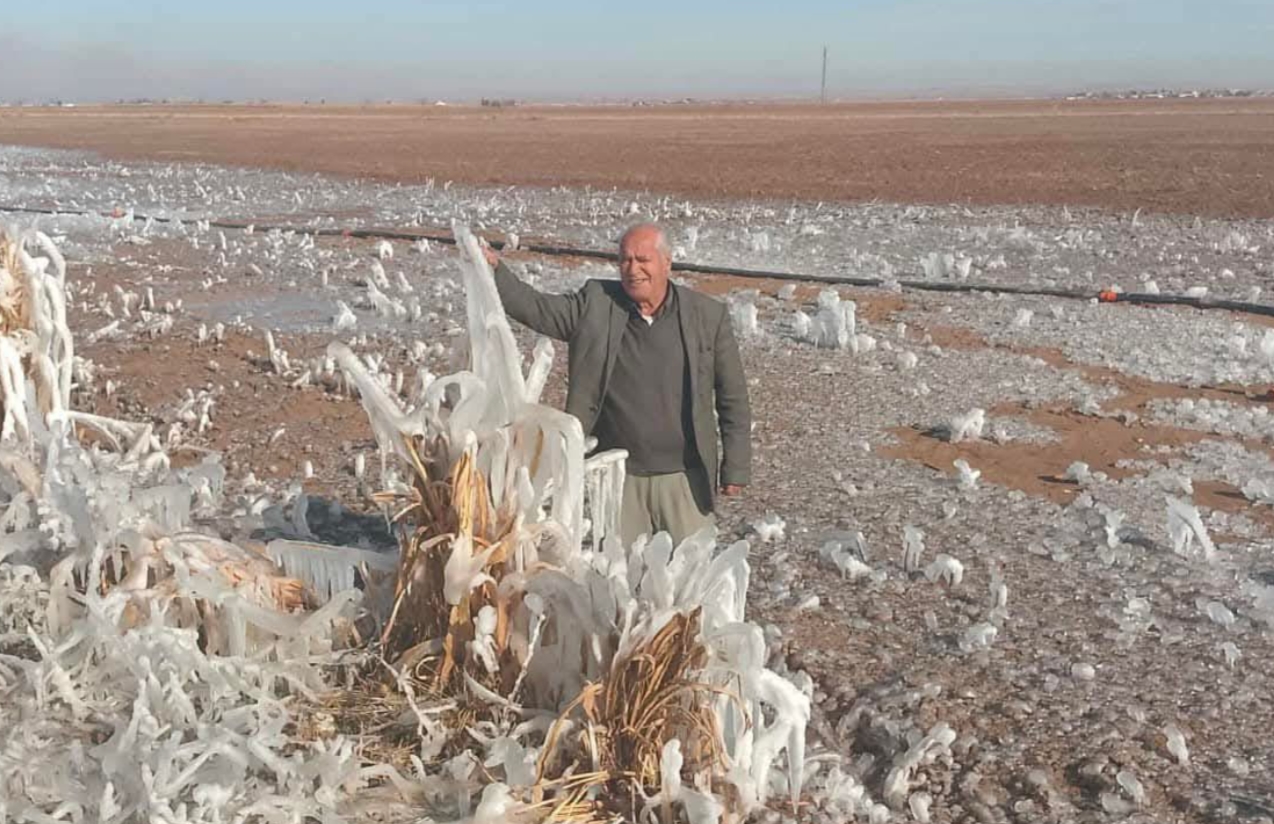 Şanlıurfa'da çiftçilerin korkulu rüyası başladı! Bu uyarıya dikkat