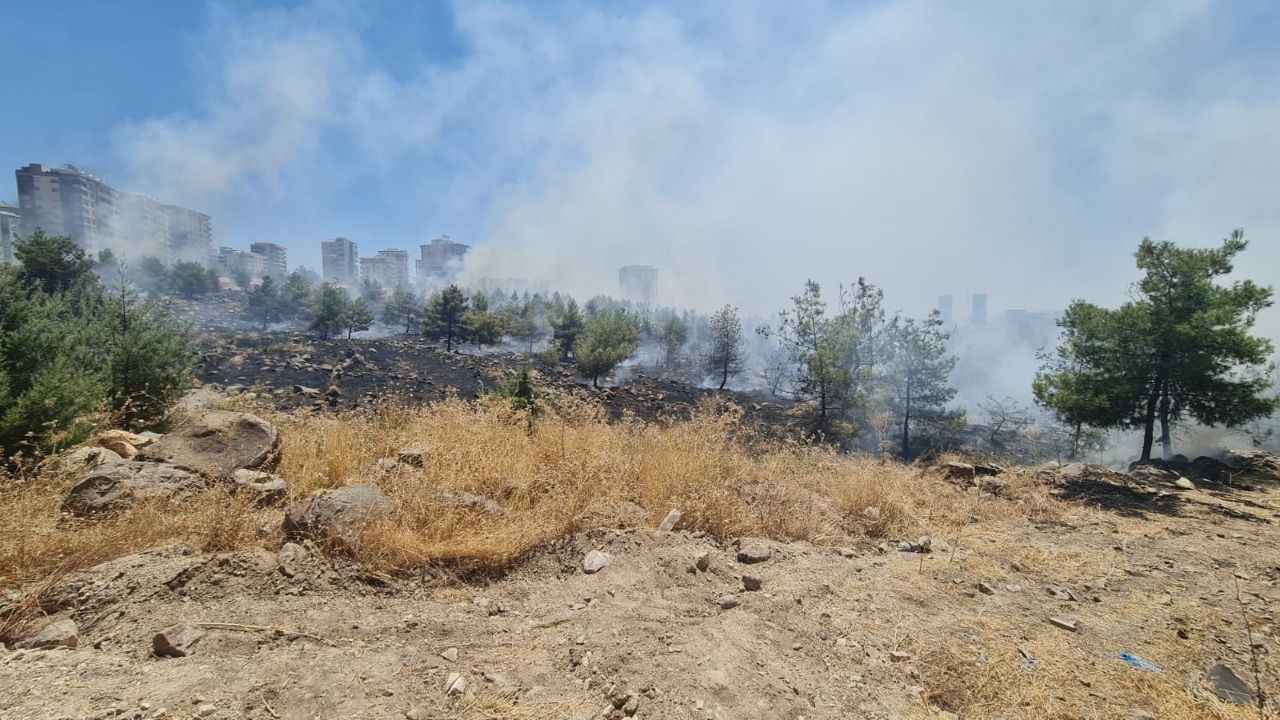 Şanlıurfa’da ormanlık alanda korkutan yangın