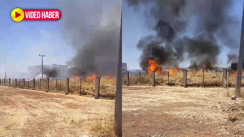 Şanlıurfa’da kuru ot yangını paniğe yol açtı