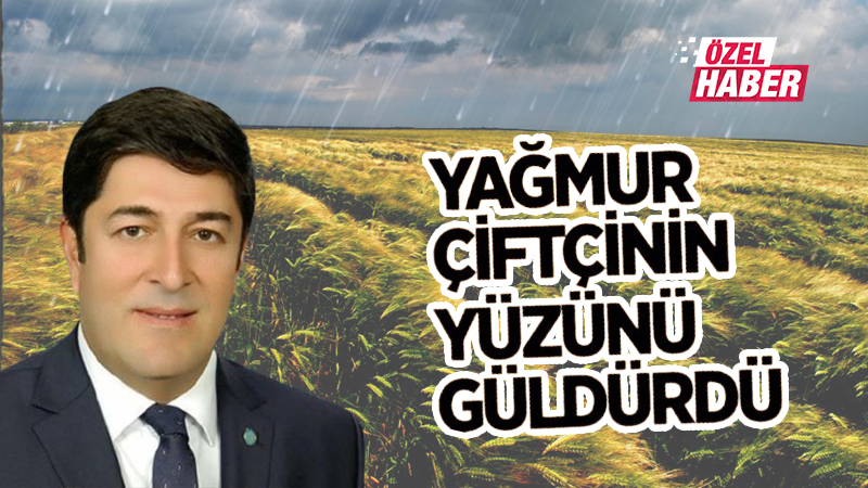 Yağmur yağdı, toprak tava geldi! Şanlıurfa'da çiftçiler ikinci baharını yaşadı