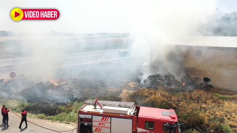 Şanlıurfa’da fabrikada yangın çıktı! Gökyüzünü dumanlar kapladı