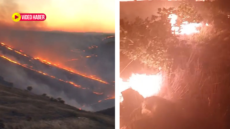 Şanlıurfa’da ekili alanda korkutan yangın: Onlarca fıstık ağacı ve dönümlerce ekili alan zarar gördü!