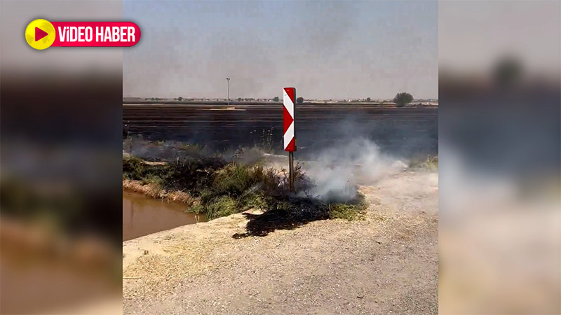 Şanlıurfa’da bilinçsiz anız yakma 3 köyü küle çevirdi: 12 mahalle elektriksiz kaldı