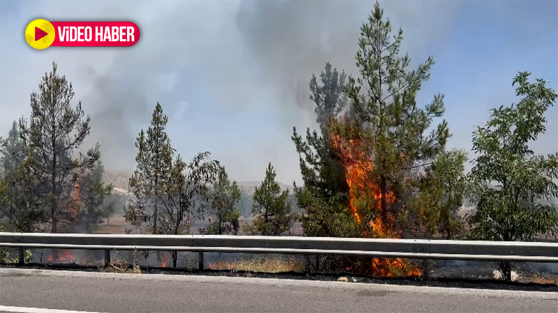 Şanlıurfa otoyolu cayır cayır