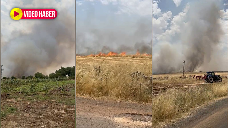 Şanlıurfa’da korkutan yangın: Söndürme çalışmaları devam ediyor!