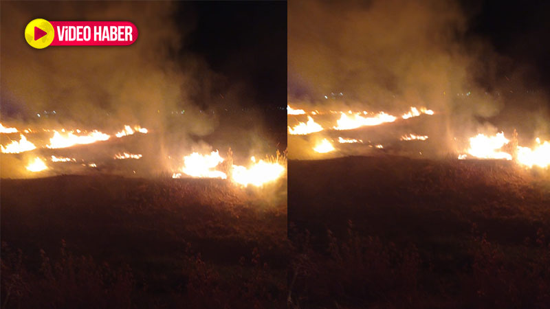 Şanlıurfa’da gece saatlerinde korkutan yangın: Otluk alan alevlere teslim oldu