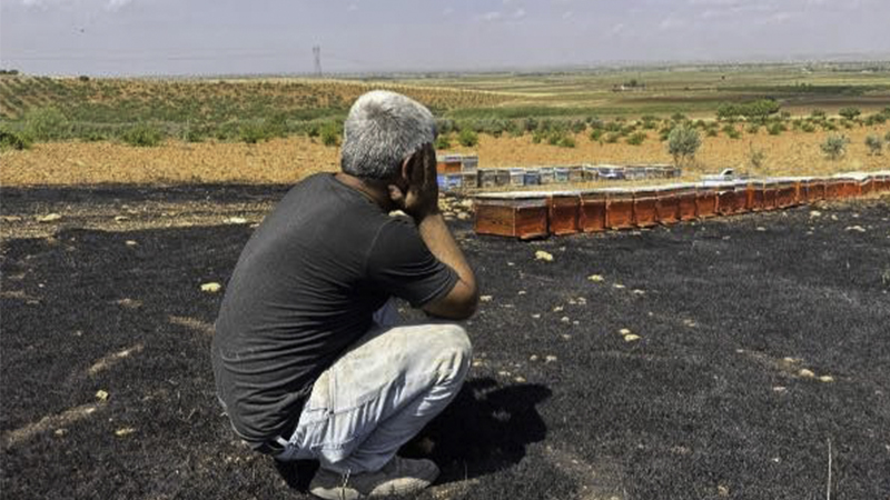 Şanlıurfa büyük tehlike altında!