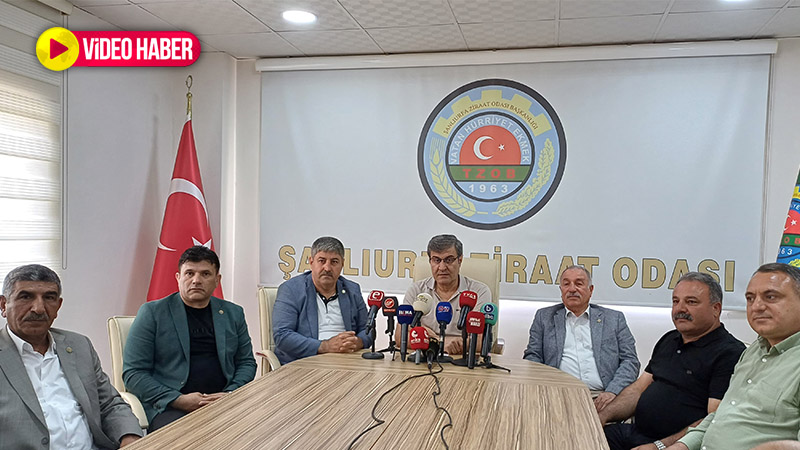 Hububat fiyatları Urfa’da tarlaları yaktı! Çiftçilerden tepki: "Komik bir rakam"